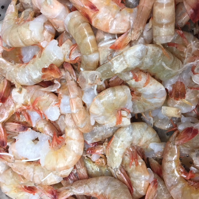 Fresh shrimp selected for Chinatown Restaurant